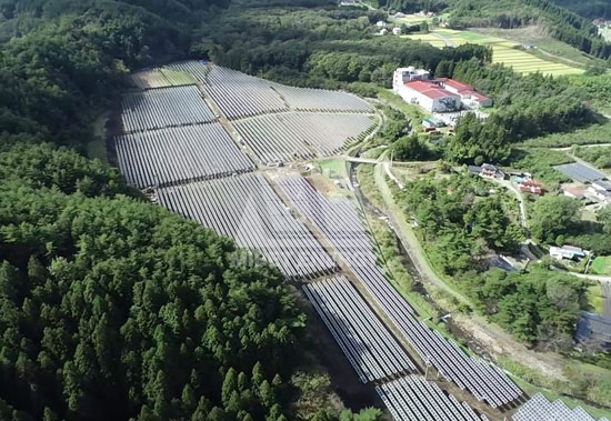 春回大地，U8体育官网见证日本福岛重焕生机